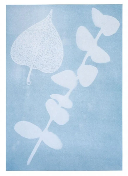 Moses PhänoMINT Sonnendruck-Papier A4 – Bild 4