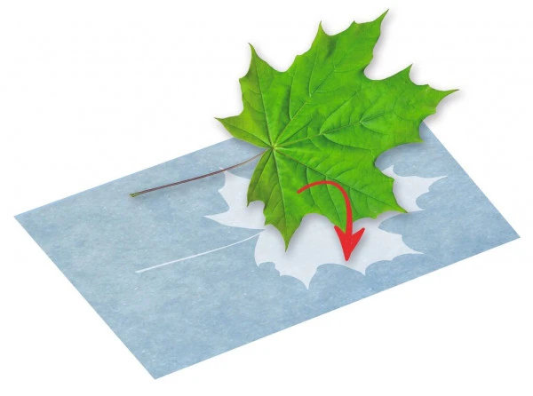 Moses PhänoMINT Sonnendruck-Papier A4 – Bild 2