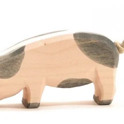 Ostheimer Schwein Gefleckt Kopf Tief