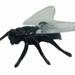 Magneto Magnet-Fliege Magnetisches Krabbeltier