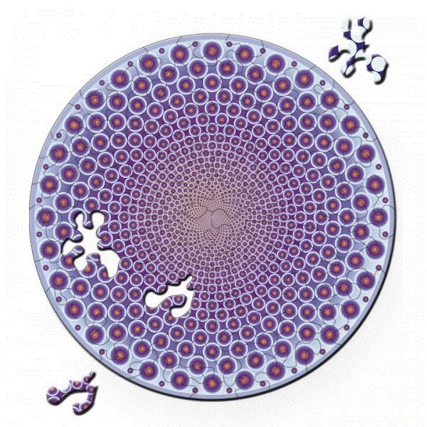 Curiosi Double Puzzle Points â Bild 2