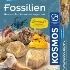Kosmos Fossilien Set