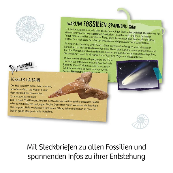 Kosmos Fossilien Set – Bild 3