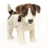 Folkmanis Handpuppe Jack Russell Terrier / Jack Russell Terrier