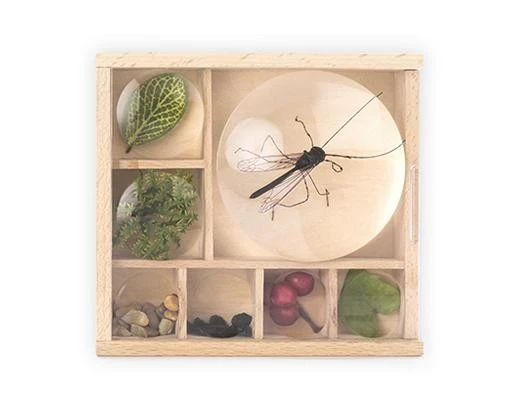 Kikkerland Huckleberry Bug Box