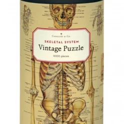 Cavallini & Co. Vintage Puzzle Skeletal System 1000 Teile