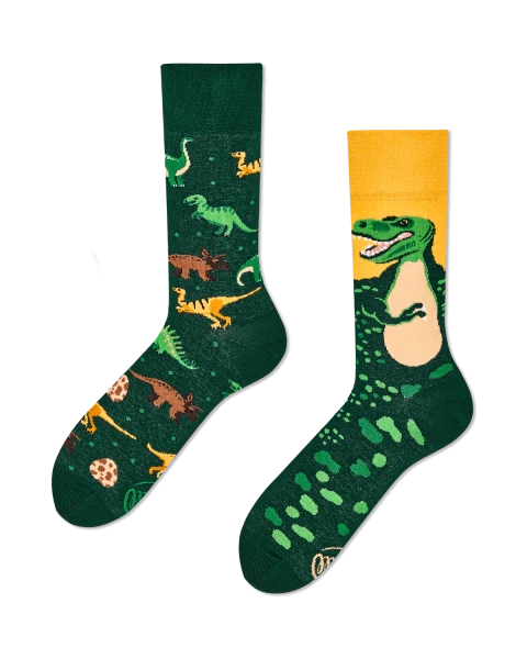 Many Mornings Socken The Dinosaurs 35-38